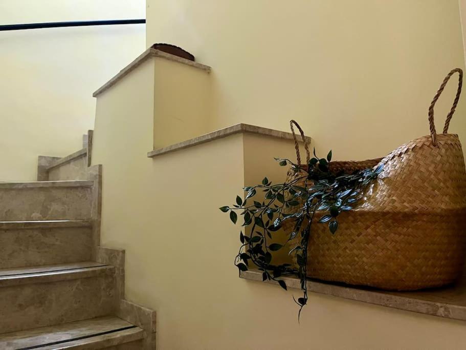 Apartamento J Costa 15- Alameda Hercules 塞维利亚 外观 照片
